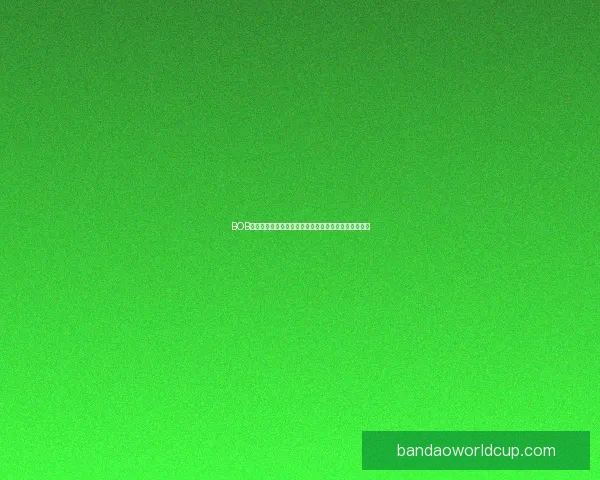 半岛体育足球投注全面解析与投注技巧指南