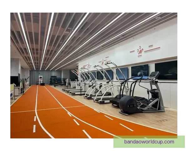 半岛体育引领全民健身新纪元打造多元赛事智慧运动生态圈发展蓝图